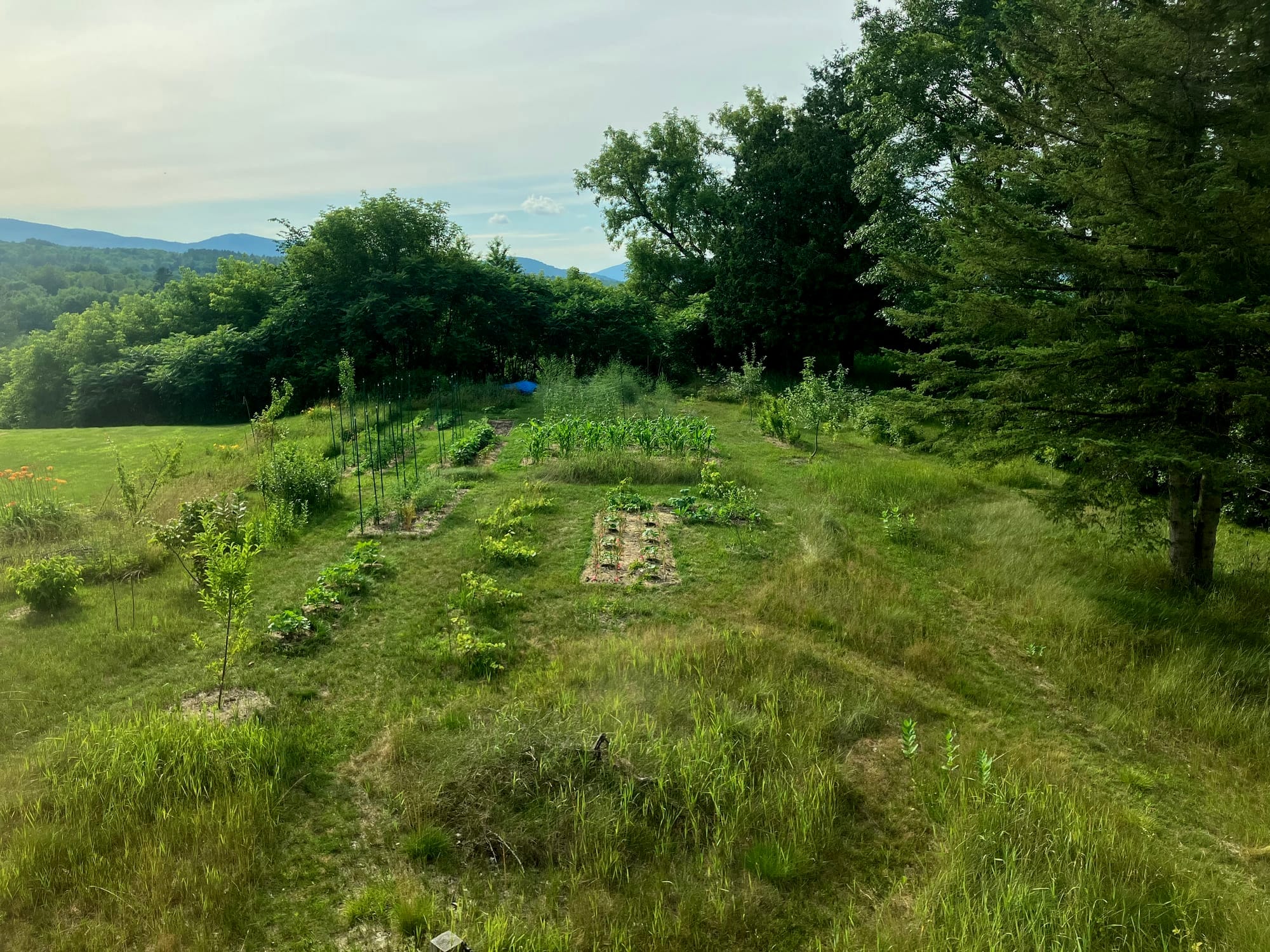 Silver Maple Farmstead