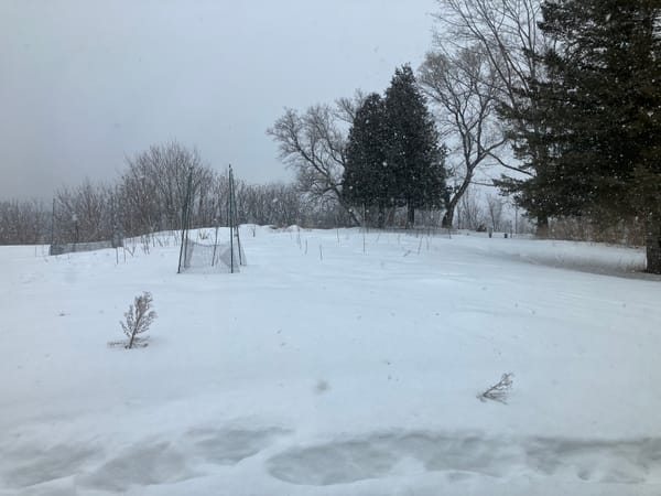 Introducing Silver Maple Farmstead